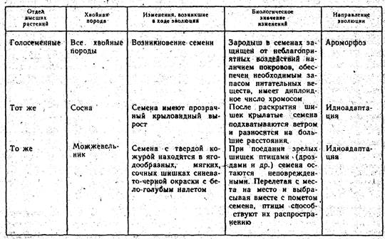 Практическое задание по теме Изучение приспособленности организмов к среде обитания