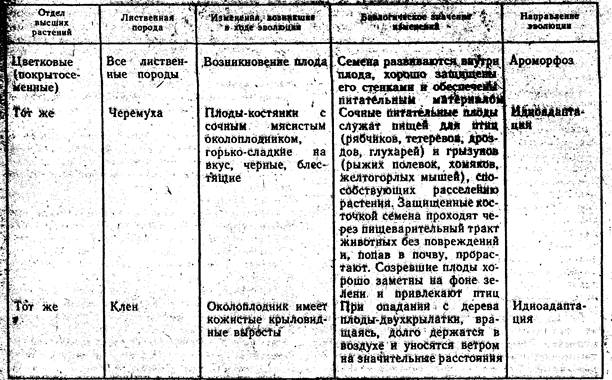 Практическое задание по теме Ароморфозы растений и животных 